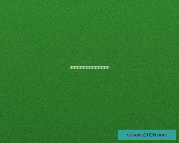 2026年世界杯举办国及赛事安排全面解析与展望